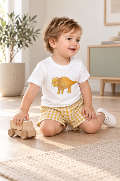 Set Verano Triceratops